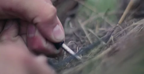 Holds fire in his hands. Lights a bonfire. . survival in the mountains Stock Footage 166399644