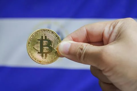Holds a physical version of Bitcoin and the flag of El Salvador. Conceptual.. Stock Photos