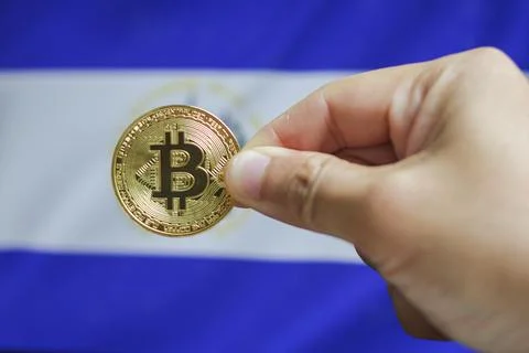 Holds a physical version of Bitcoin and the flag of El Salvador. Conceptual.. Stock Photos