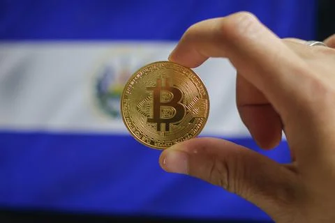 Holds a physical version of Bitcoin and the flag of El Salvador. Conceptual.. Stock Photos