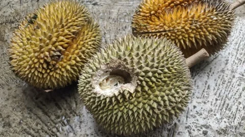 A Hole Bitten Durian Stock Footage 302534489