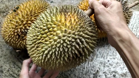 A Hole Bitten Durian Stock Footage 302534542