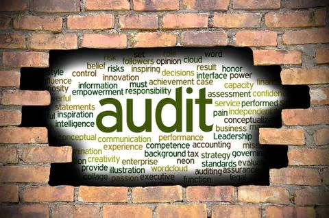Hole at the brick wall with audit word cloud inside Stockillustratie