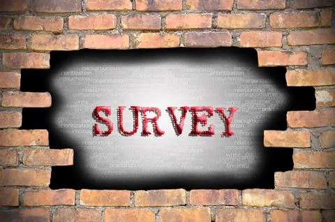 Hole at the brick wall with survey caption inside Stock Illustration