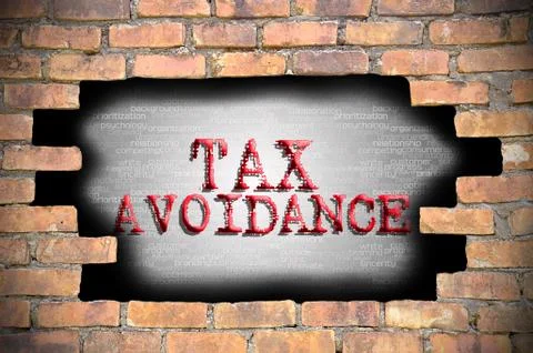 Hole at the brick wall with tax avoidance caption inside 库存插图