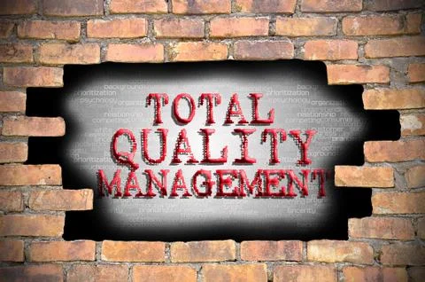 Hole at the brick wall with total quality management caption inside 库存插图
