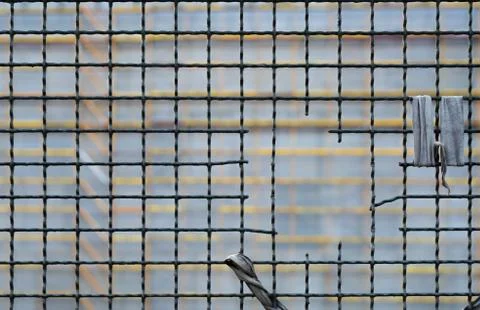 A hole in the grid Stock Photos