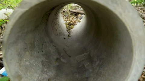 The hole inside the big pipe on the forest ground Видео 137359734