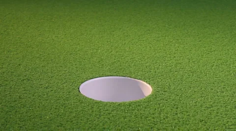 Hole in one Stock Footage 1123610