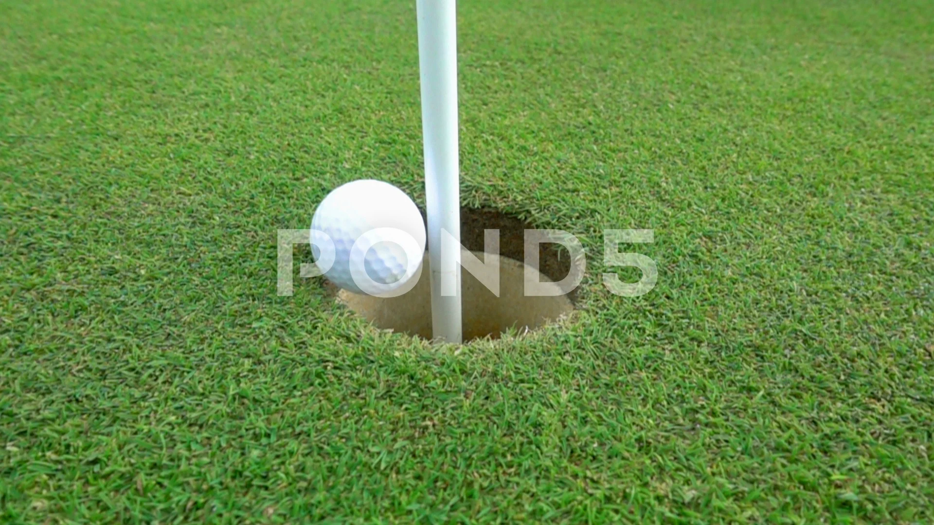 A Hole In One In Golf In Slow Motion Stock Video Pond5