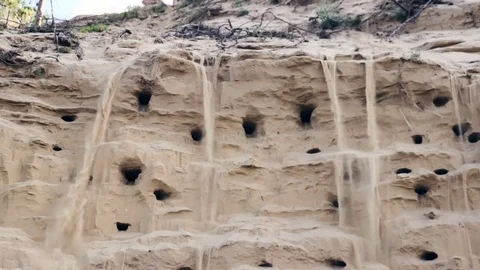 Hole at pour sand at beach Stock Footage 70802023