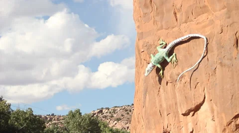 Hole In the Rock Lizard Time Lapse Stock Footage 30369364