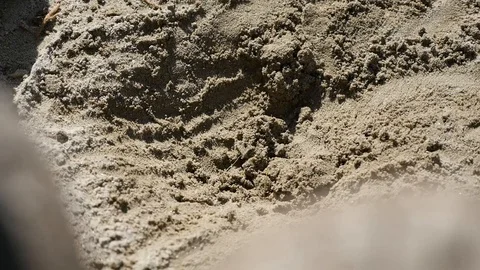 Hole in sand on beach Stock Footage 88597917
