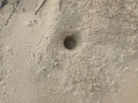 Hole In The Sand Stock Photos