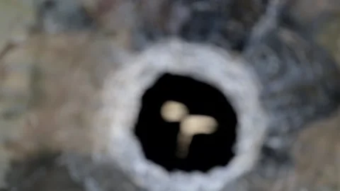 A hole in the TV screen from a shot Stock Footage 195095607