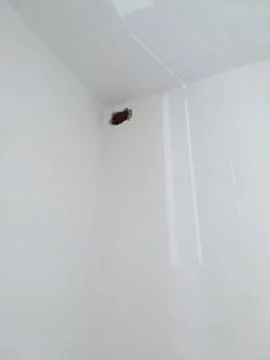 Hole in the wall Stock Photos