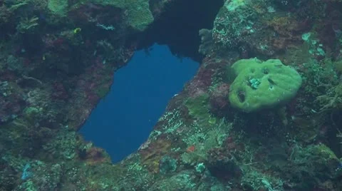 Hole in a wreck Stock Footage 10731766