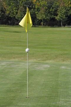 Holes of golf Stock Photos