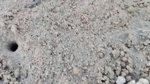 Holes on the ground Stock Footage 155871658