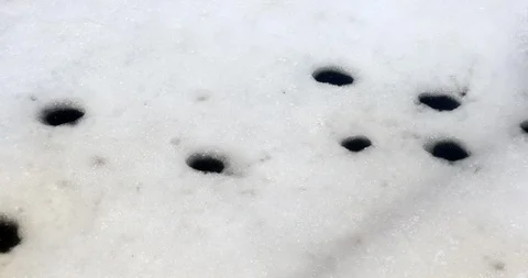 Holes in ice Stock Footage 88395136