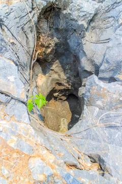Holes in the rocks Stock Photos