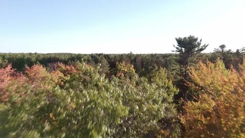 Holiday Acres Stock Footage 333661418