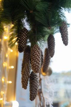 Holiday background of Christmas tree branches Stock Photos