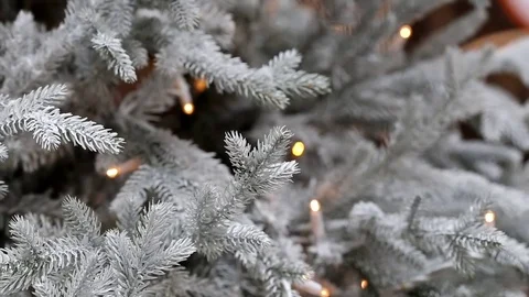Holiday background Christmas tree lights twinkling Stock Footage 74313079