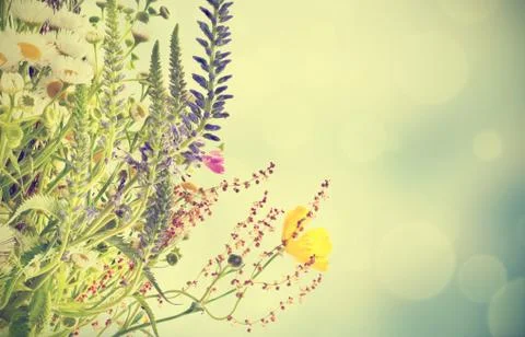 Holiday background Stock Illustration