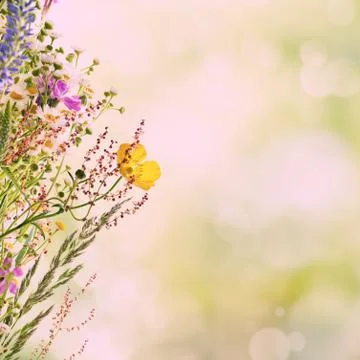 Holiday background Stock Illustration