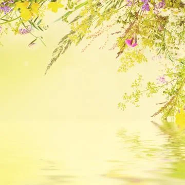 Holiday background Stock-Fotos