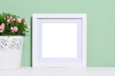 Holiday background Stock Photos