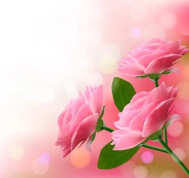 Holiday background with three pink flowers. vector illustration Stock Illustration