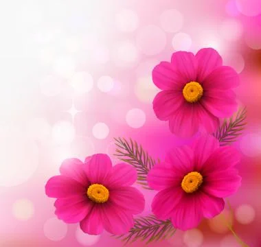 Holiday background with three pink flowers.vector illustration Stock Illustration
