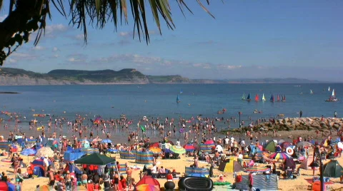 Holiday on the beach Stock Footage 498194