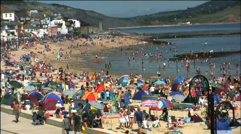 Holiday on the beach Stock Footage 498442