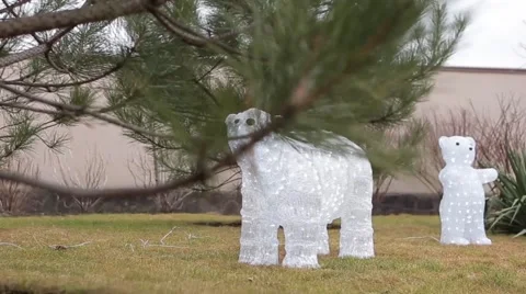 Holiday bears in the yard Stock Footage 39975596
