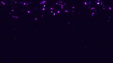 Holiday Card Stock Footage 294712092