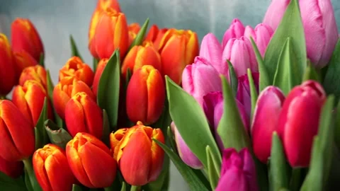 Holiday decor with flowers Stock Footage 274412923