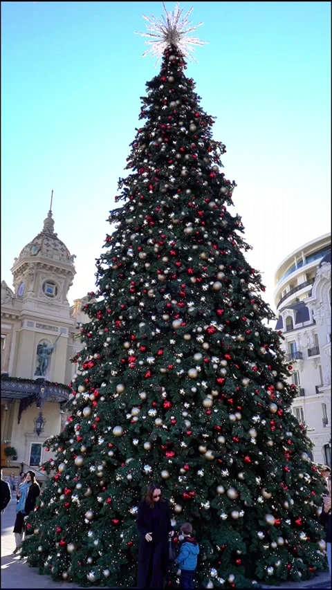 Holiday Decorations in Monaco. Stock Footage 322136847