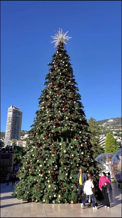 Holiday Decorations in Monaco. Stock Footage 322136877