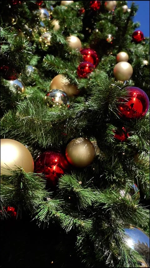 Holiday Decorations in Monaco. Stock Footage 322136909