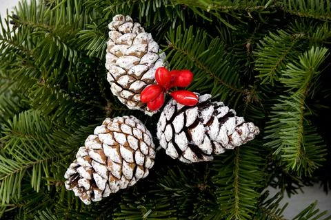 Holiday decorations Foto stock