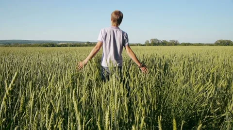 Holiday in field Stock Footage 11428341