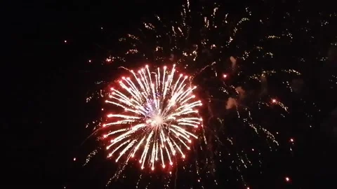 Holiday Fireworks Stock-Footage 195305901