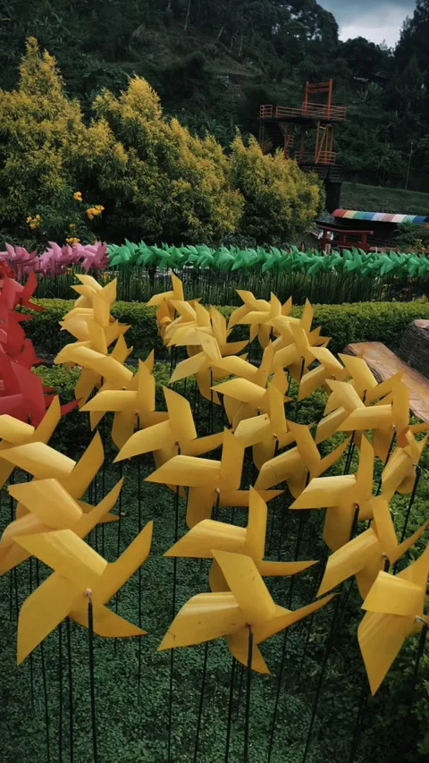 Holiday Stock Footage 220107518