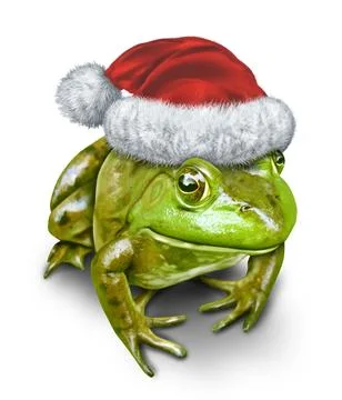 Holiday Frog Stock Photos