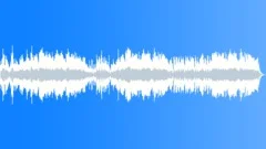 Holiday GoodiesStock Music