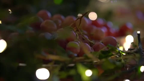 Holiday grapes Stockbeeldmateriaal 232482415