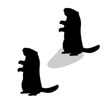 Holiday Groundhog Day. Falling shadow prediction of spring Stock Illustration